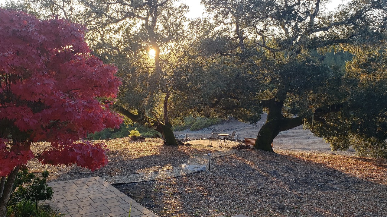 Photo of Outdoor in Camp Meeker