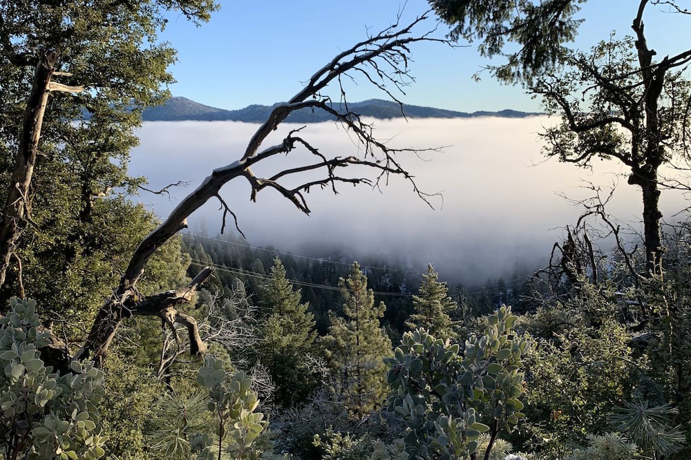 Photo of Outdoor in Redding