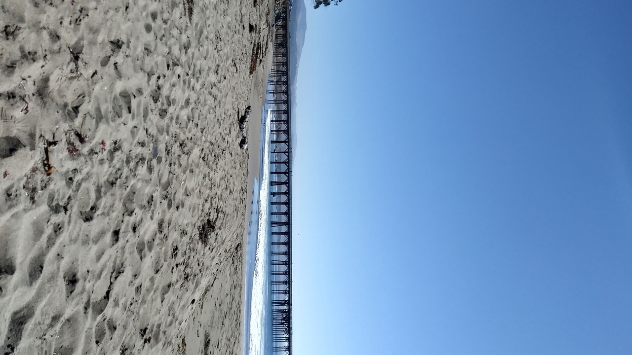 Photo of Others in Morro Bay