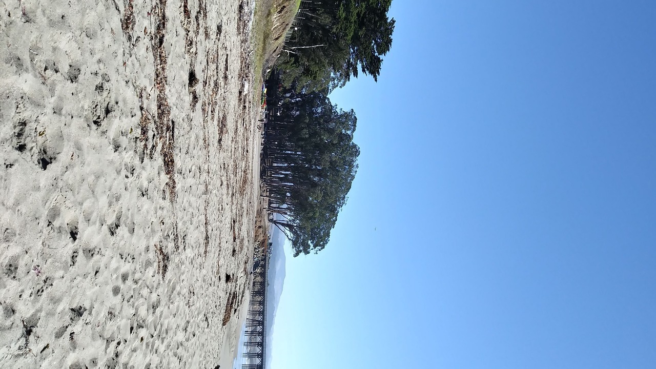 Photo of Others in Morro Bay