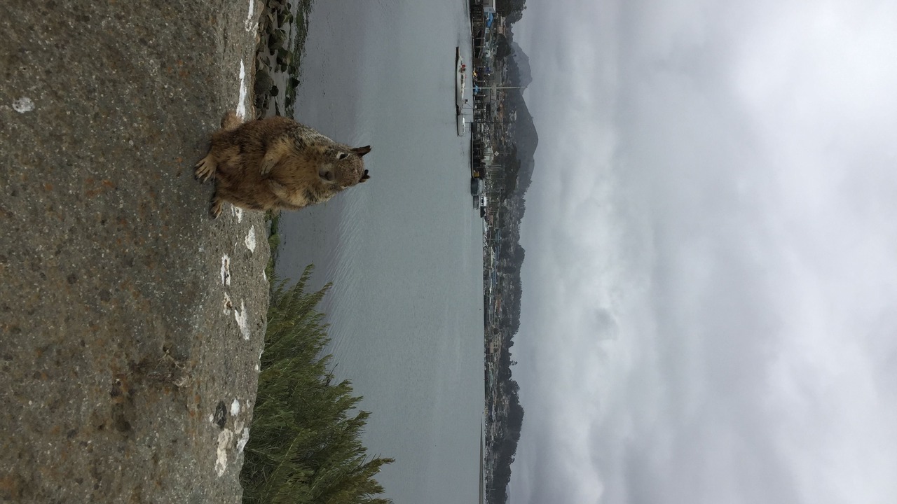 Photo of Others in Morro Bay