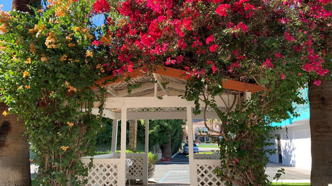 Photo of Outdoor in Tahquitz River Estates