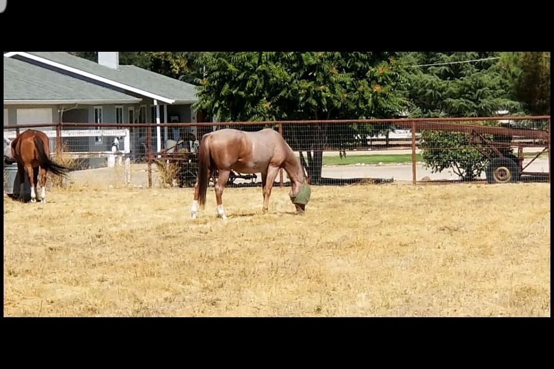 Photo of Outdoor in Paso Robles
