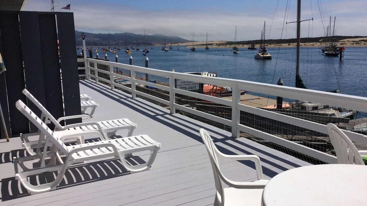 Photo of Others in Morro Bay