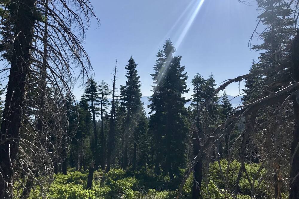 Photo of Others in Tahoma