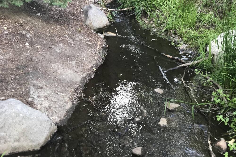 Photo of Outdoor in Tahoma