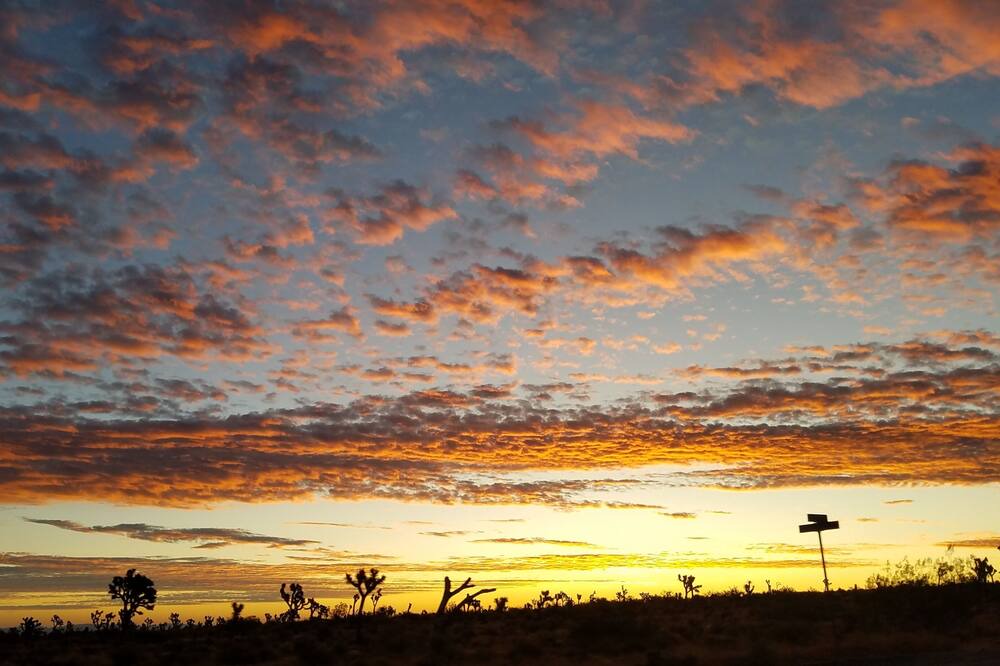Photo of Others in Yucca Valley