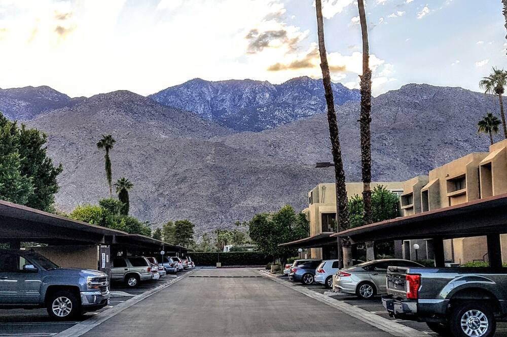 Photo of Others in Twin Palms