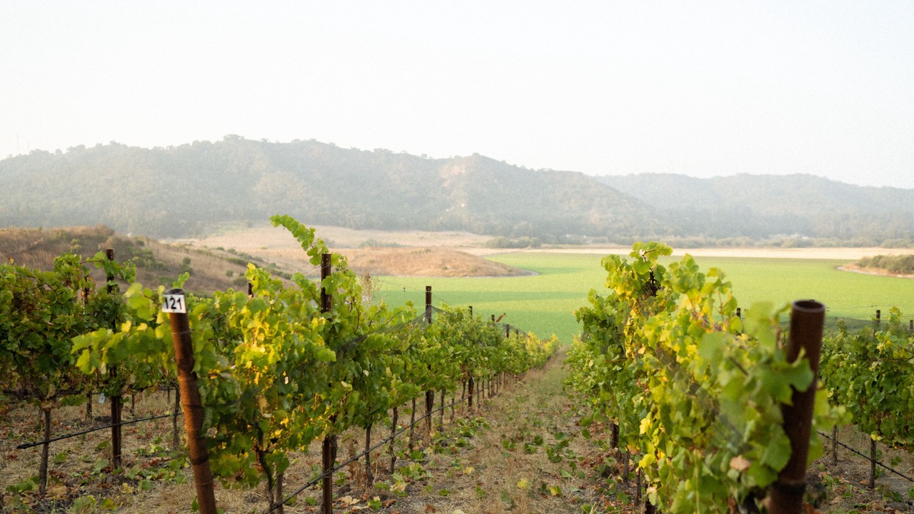 Photo of Outdoor in San Luis Obispo
