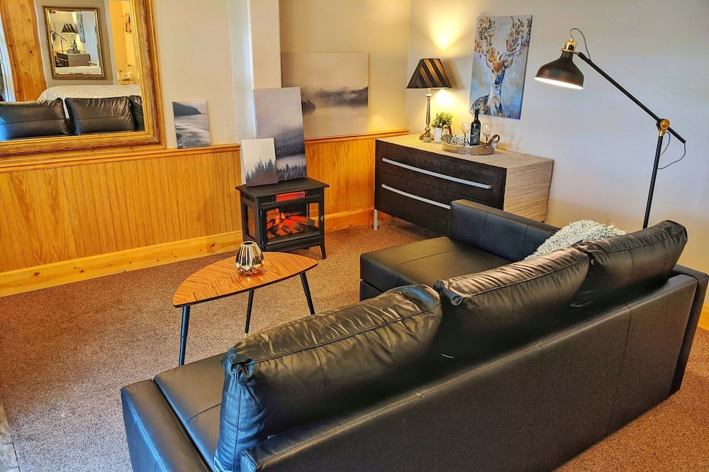 Photo of Livingroom in Downieville