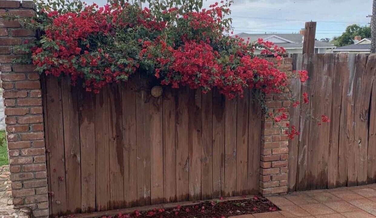 Photo of Outdoor in Santa Maria