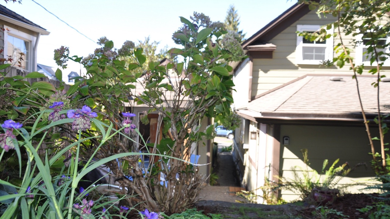 Photo of Outdoor in McLoughlin