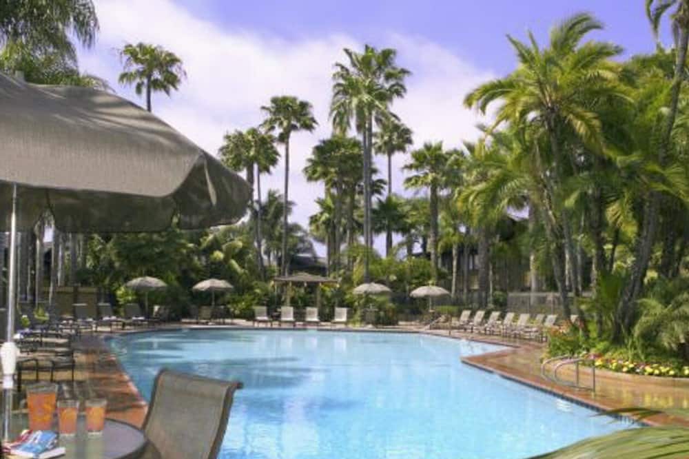 Photo of Outdoor in La Playa