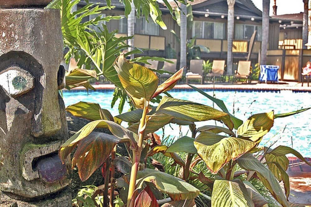 Photo of Outdoor in La Playa