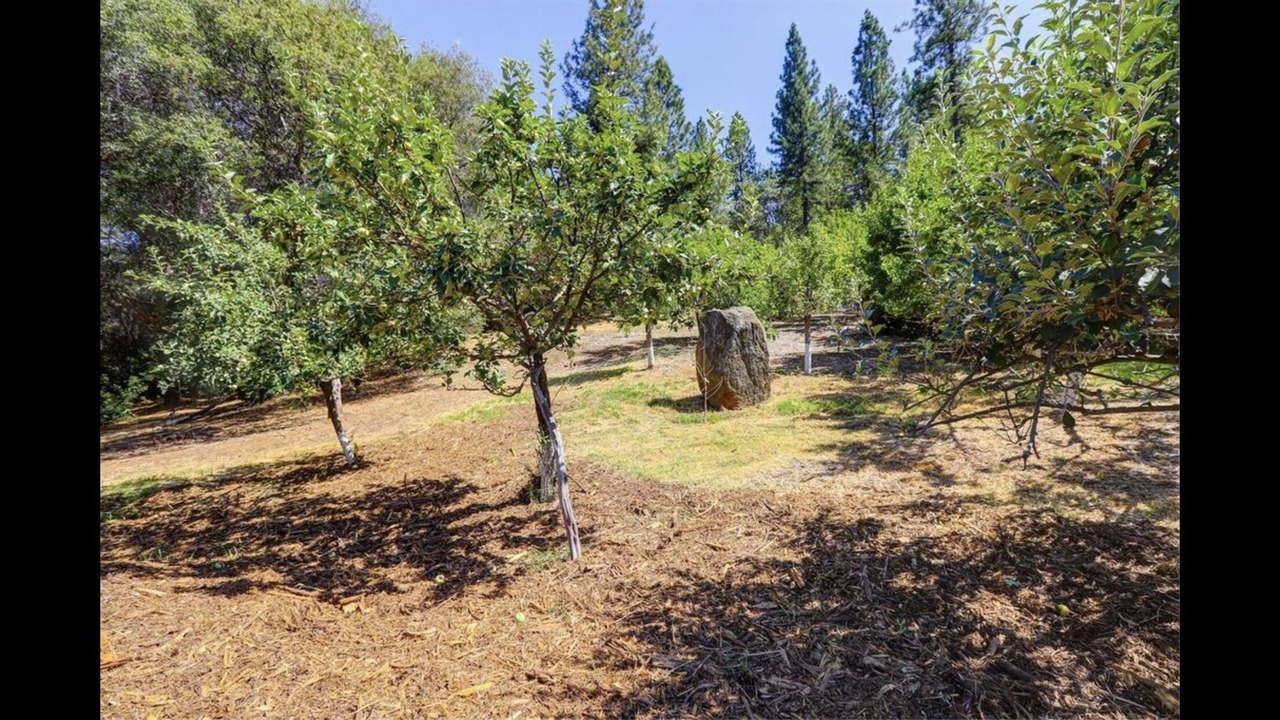 Photo of Outdoor in Penn Valley