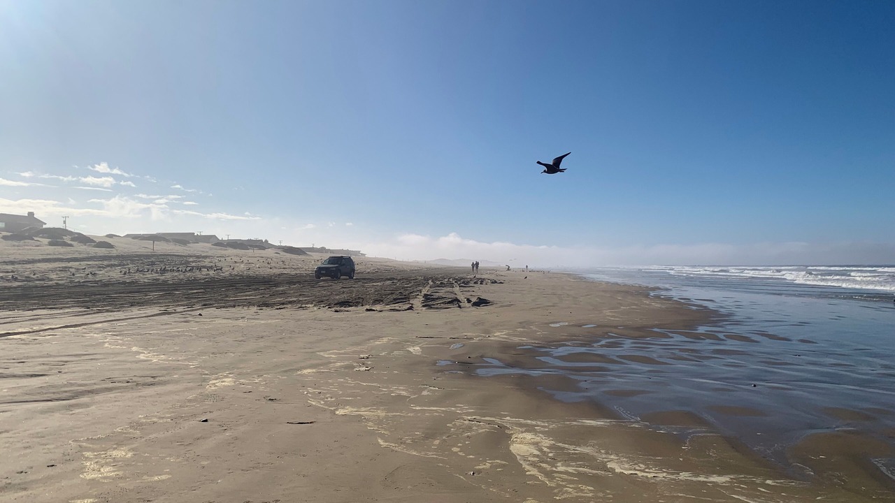 Photo of Others in Oceano