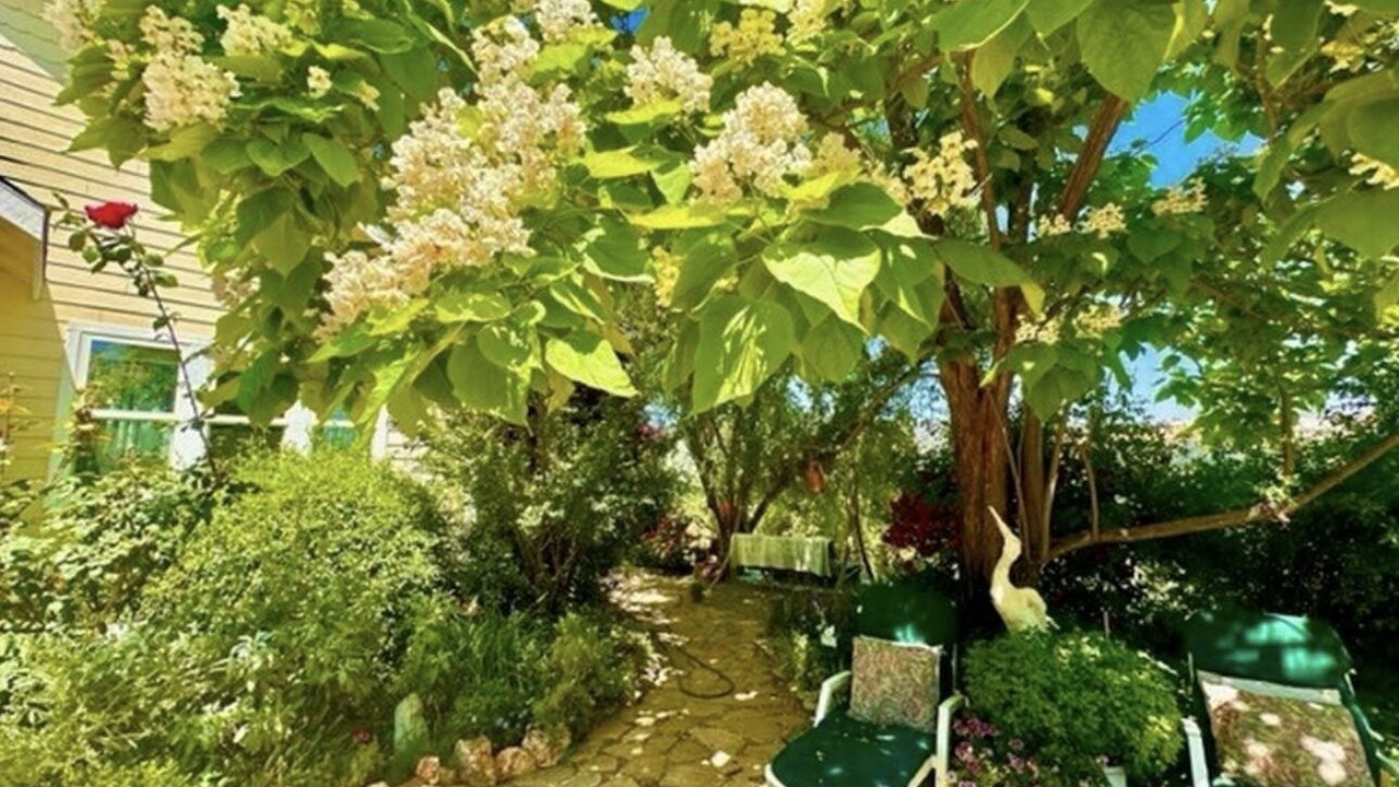 Photo of Outdoor in Rackerby