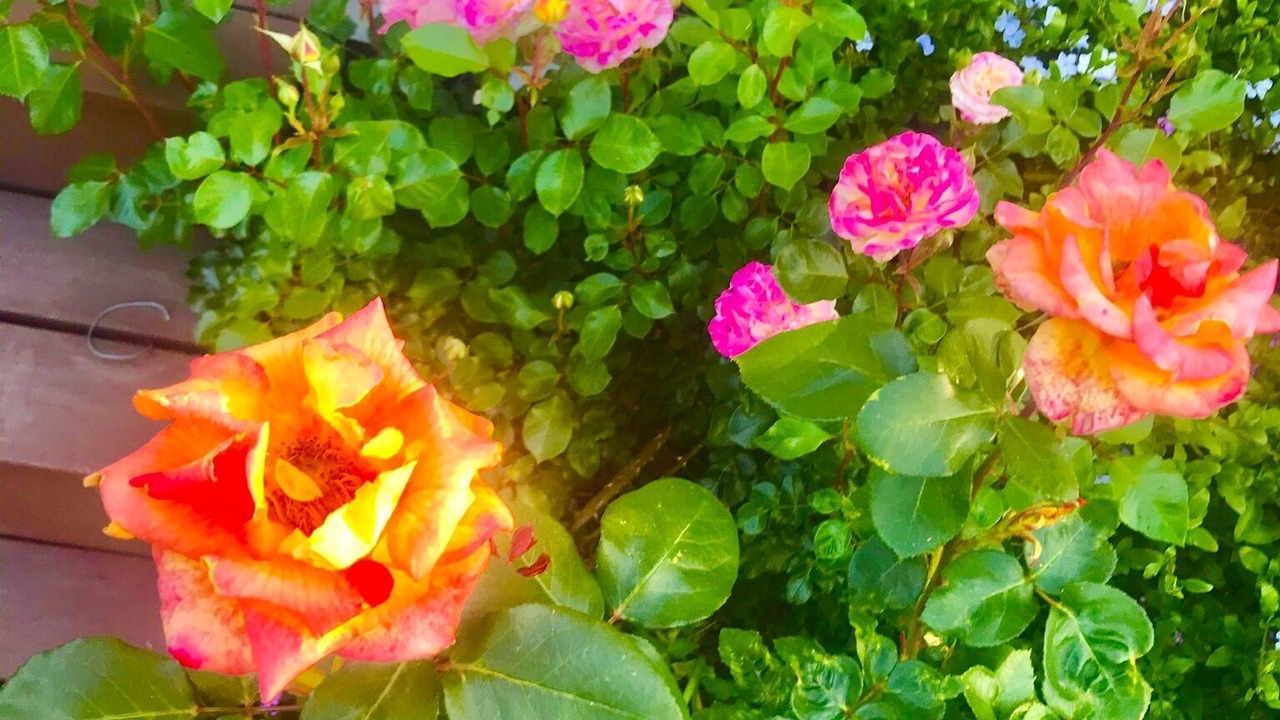 Photo of Outdoor in Rackerby