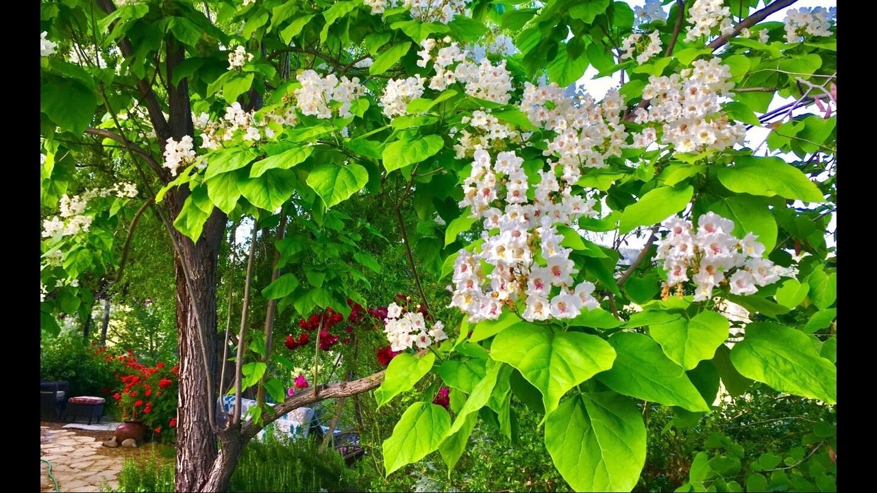 Photo of Outdoor in Rackerby