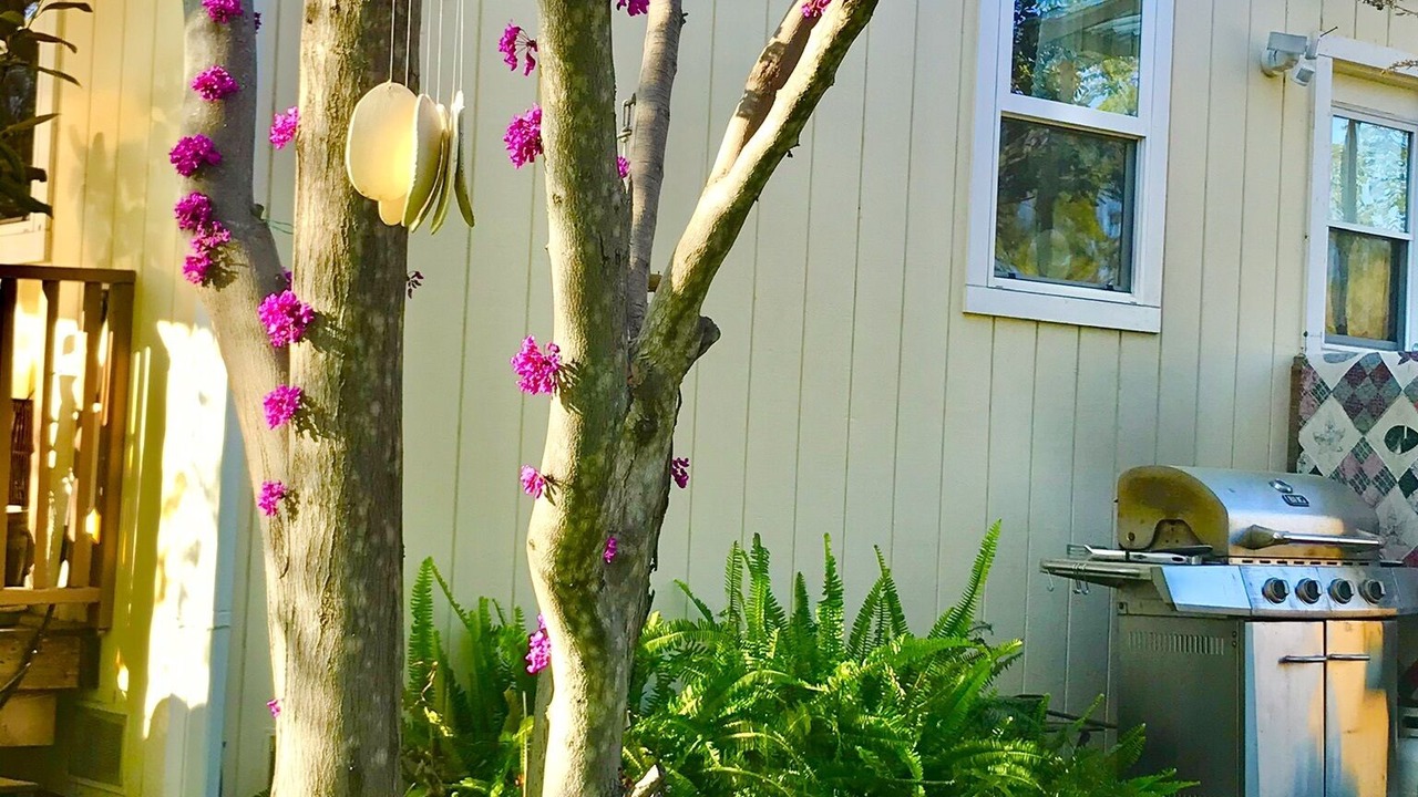 Photo of Outdoor in Rackerby