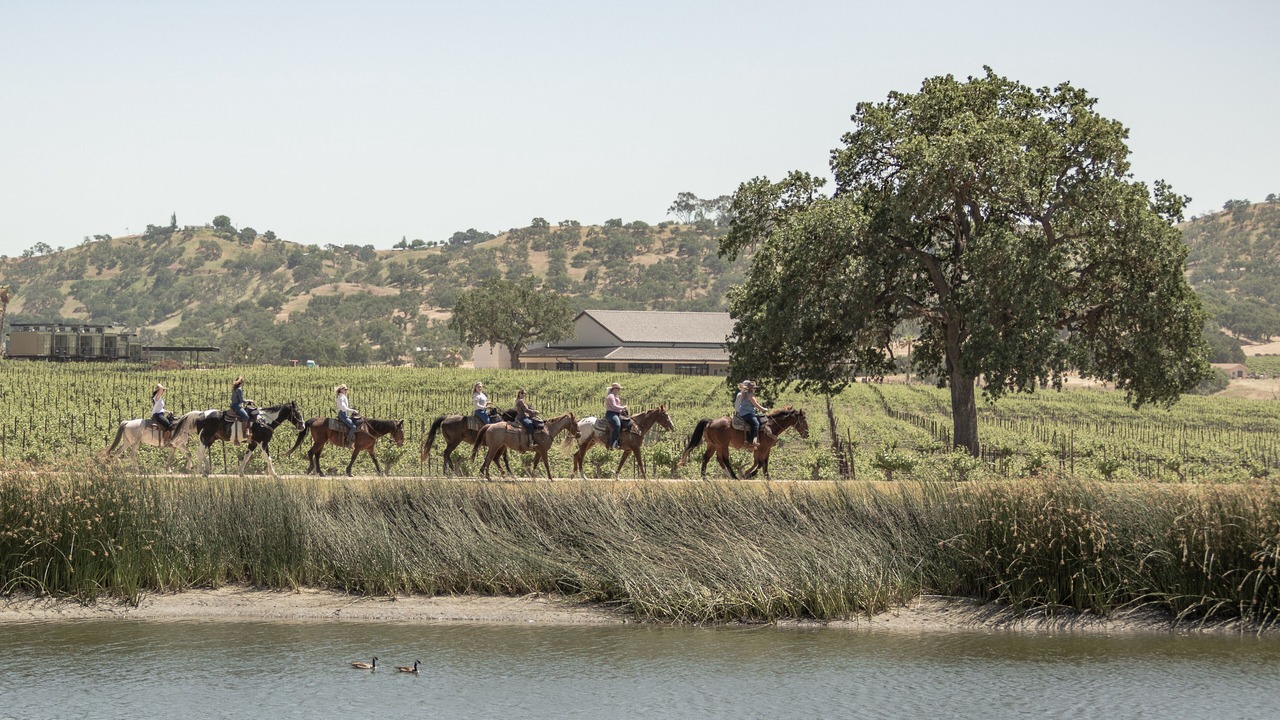 Photo of Outdoor in Paso Robles