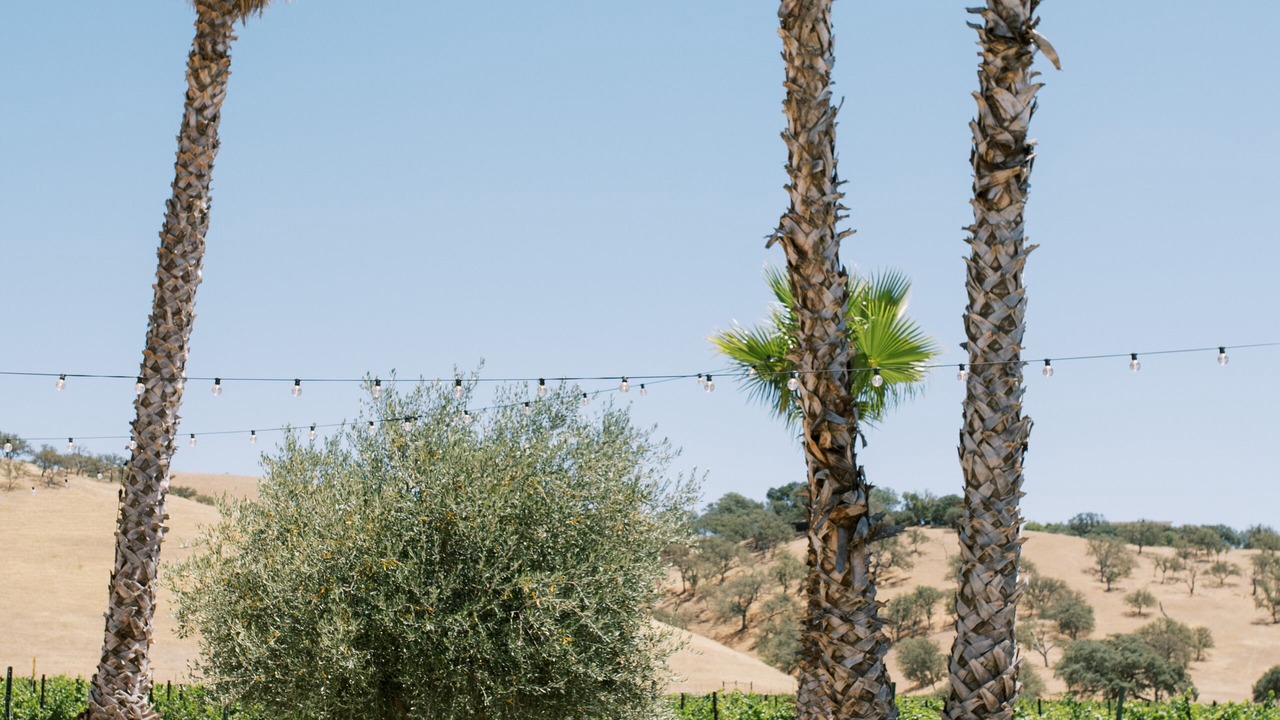 Photo of Outdoor in Paso Robles