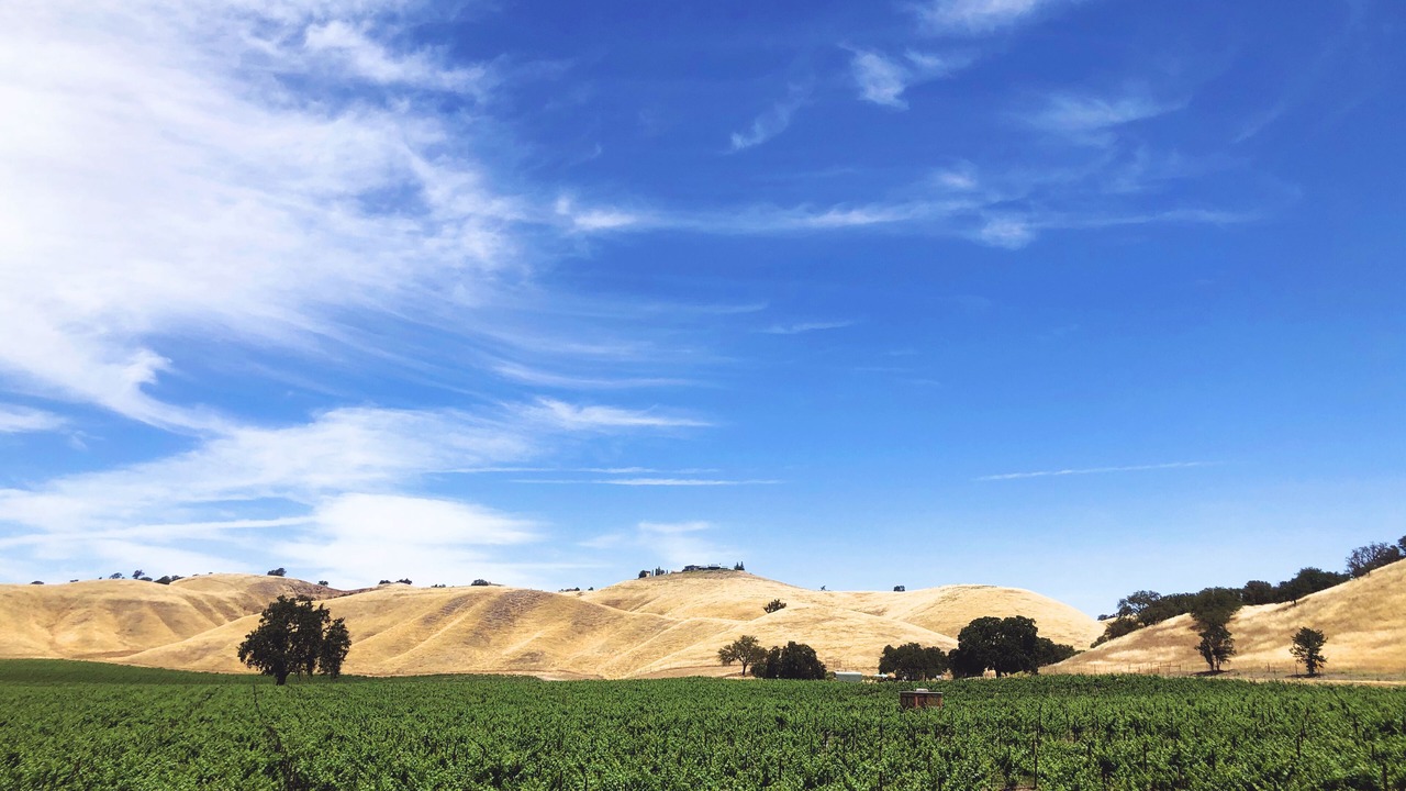 Photo of Others in Paso Robles