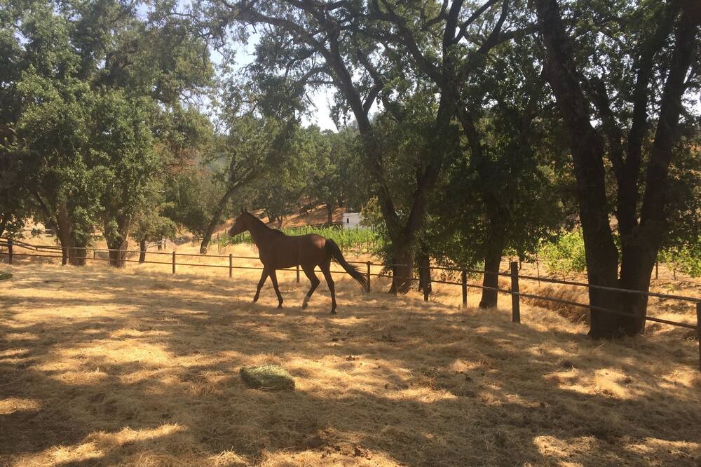 Photo of Outdoor in St. Helena