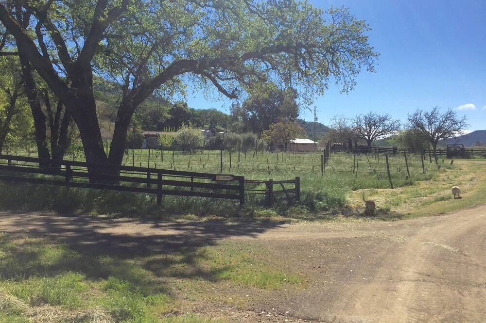 Photo of Outdoor in St. Helena