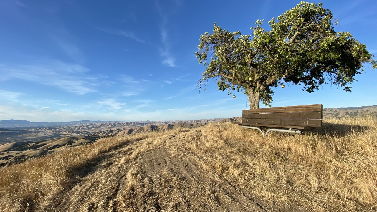 Photo of Others in Mount Hamilton