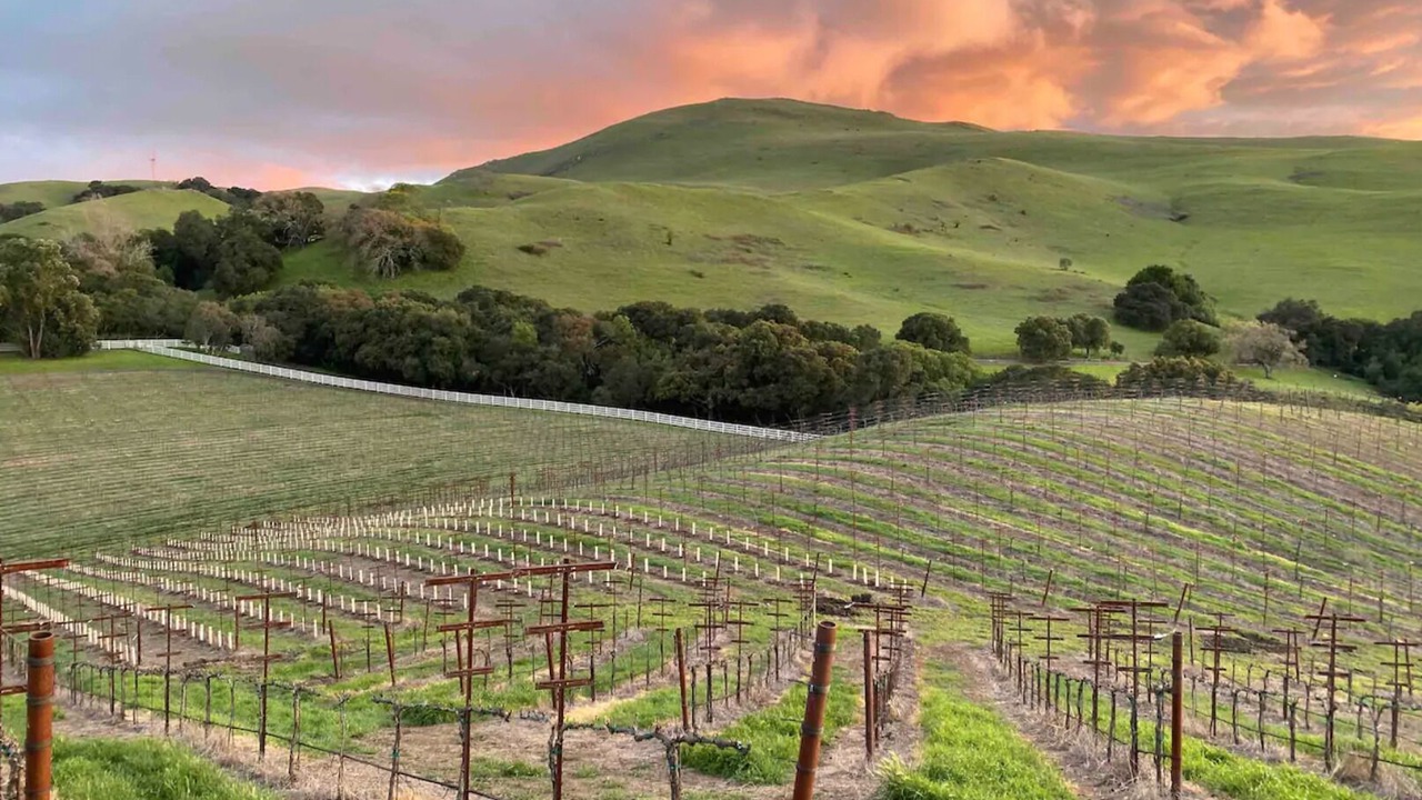 Photo of Outdoor in Mount Hamilton