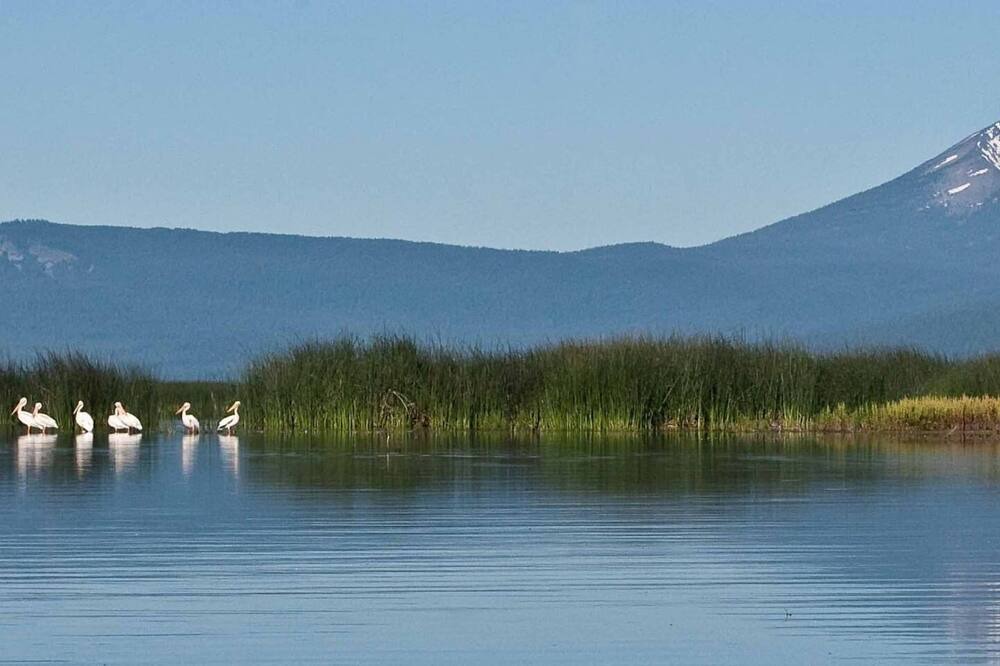 Photo of Outdoor in Klamath Falls