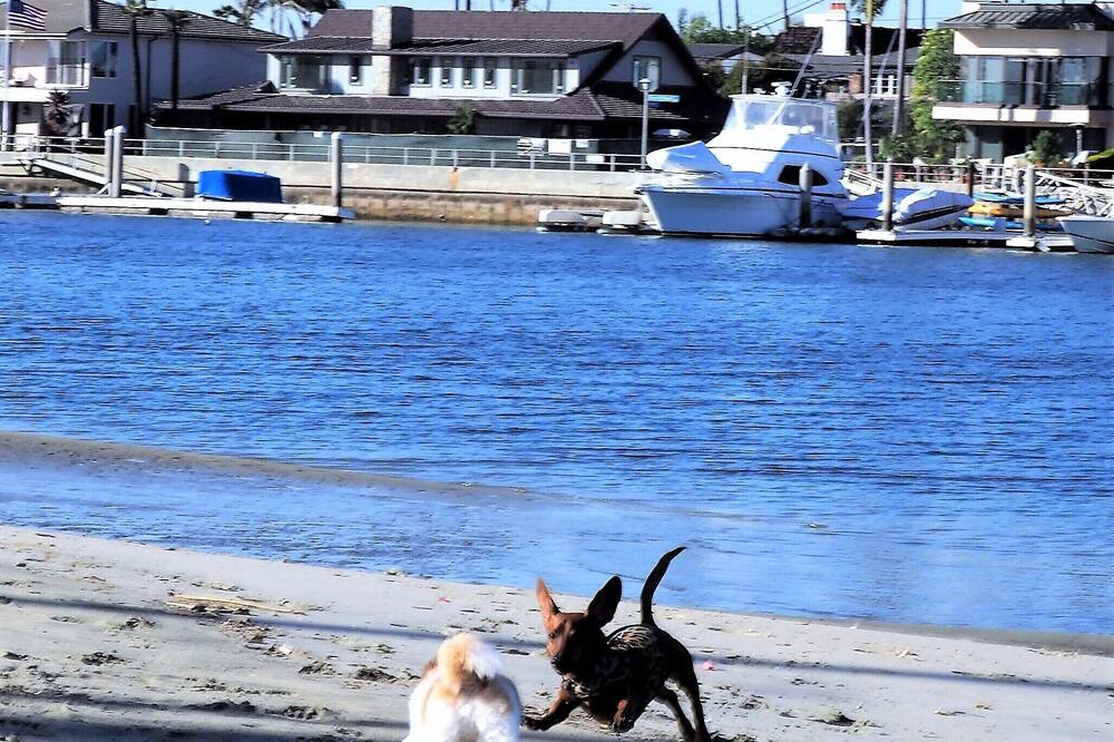 Photo of Others in Peninsula