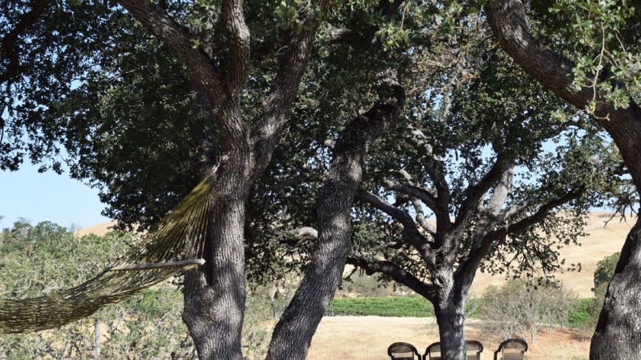 Photo of Outdoor in Paso Robles