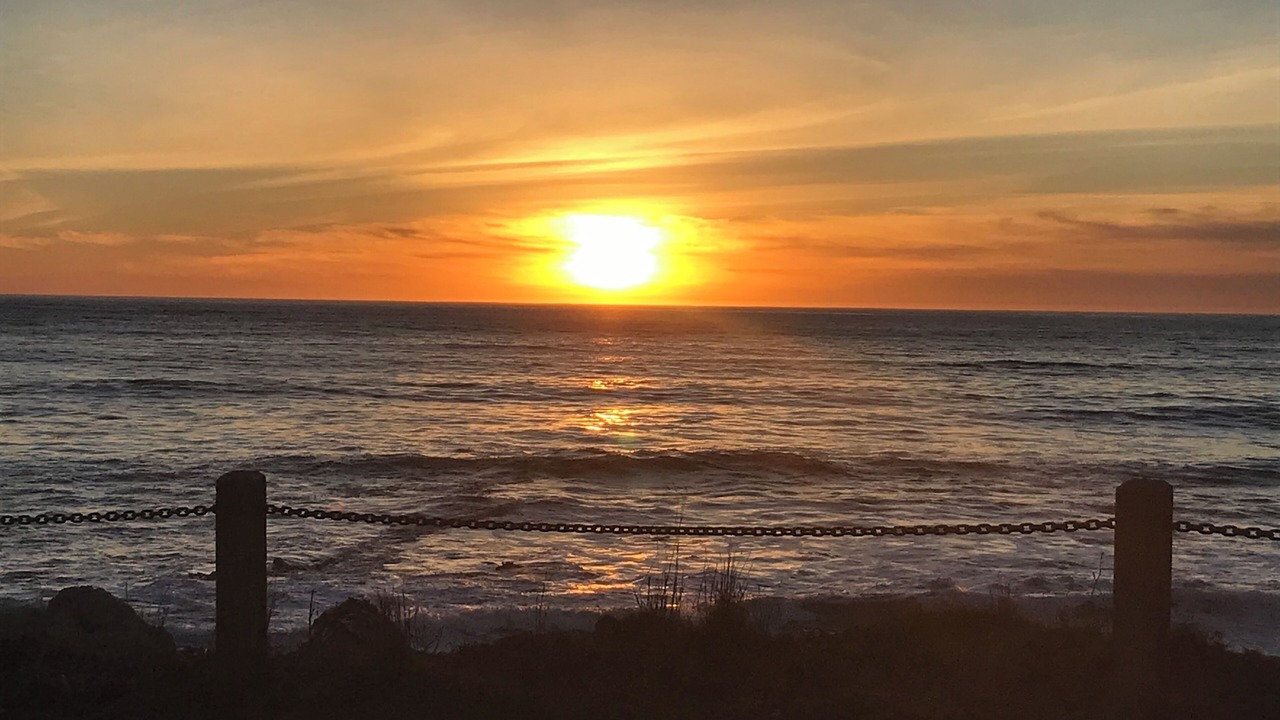Photo of Others in Shell Beach