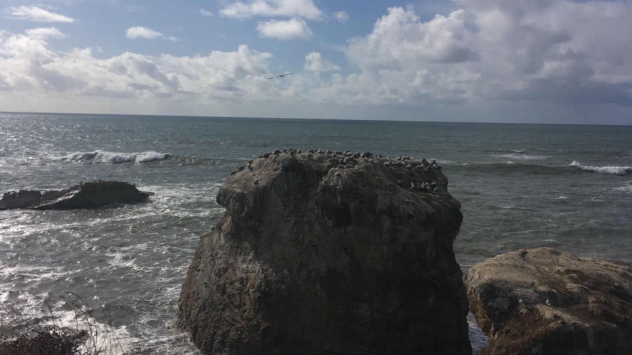 Photo of Others in Shell Beach