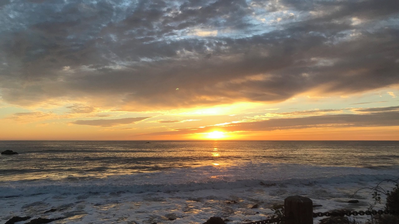 Photo of Others in Shell Beach