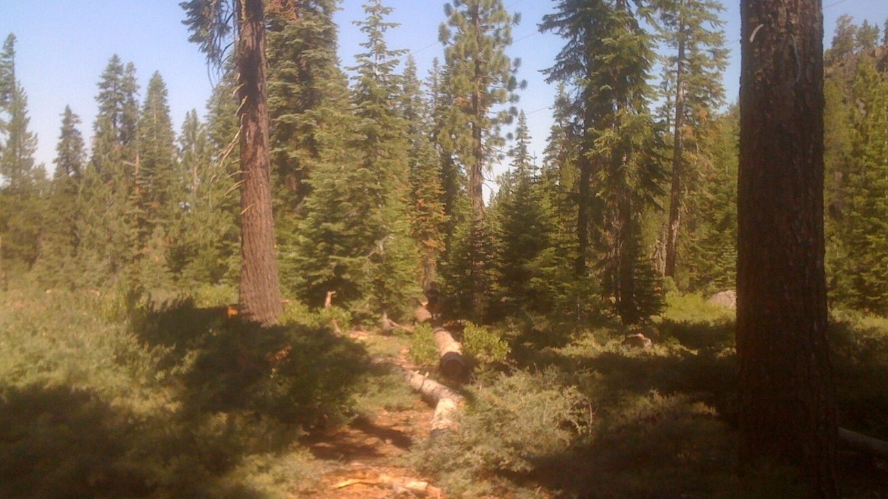 Photo of Outdoor in Truckee