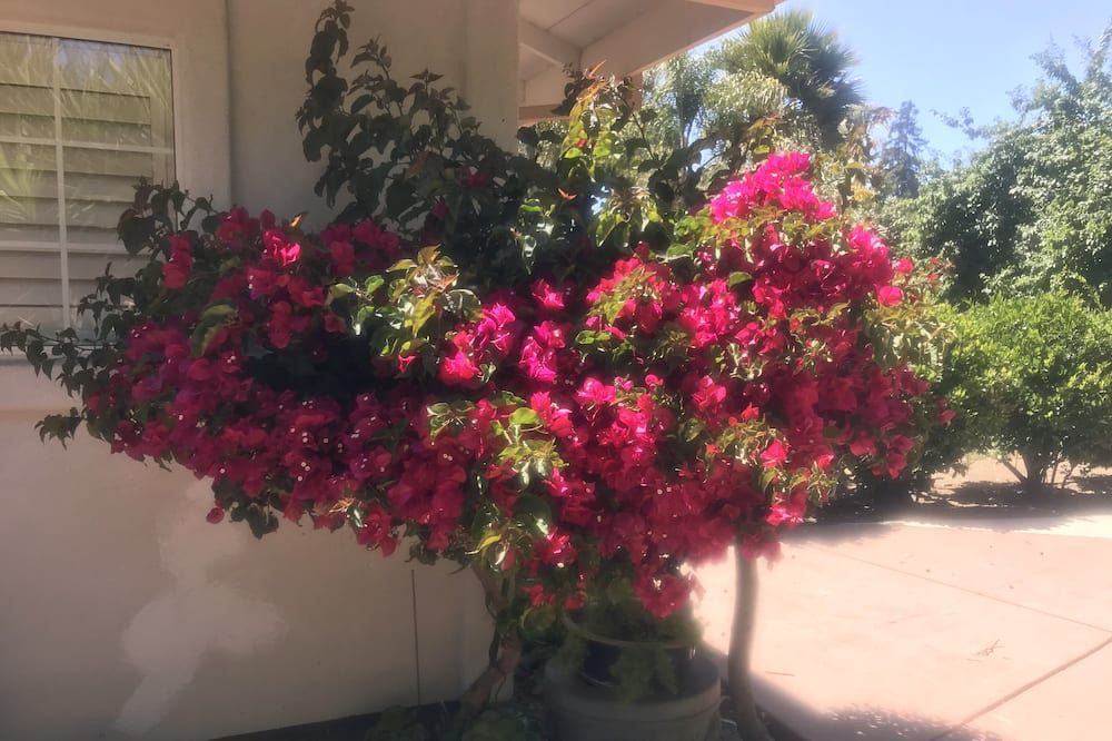 Photo of Outdoor in Carmel