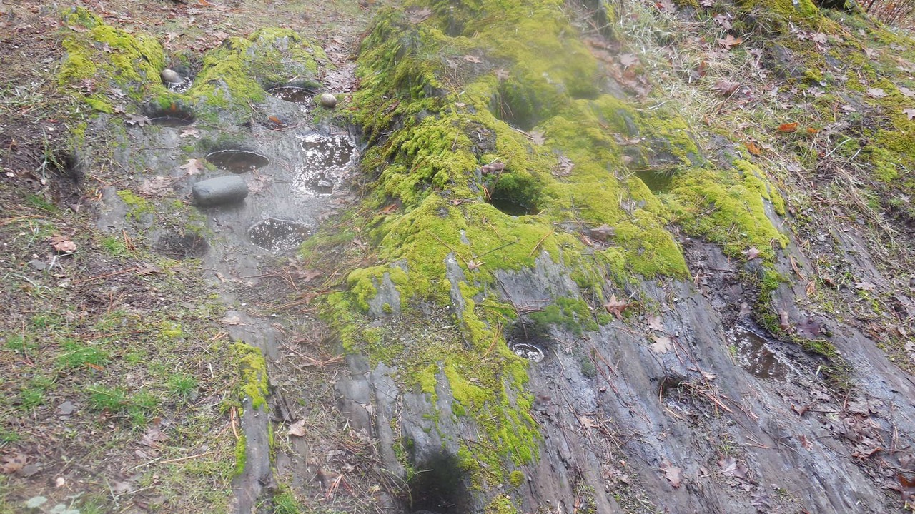 Photo of Outdoor in Coulterville