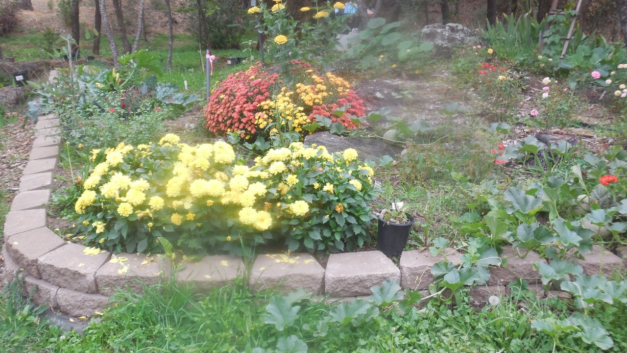 Photo of Outdoor in Coulterville