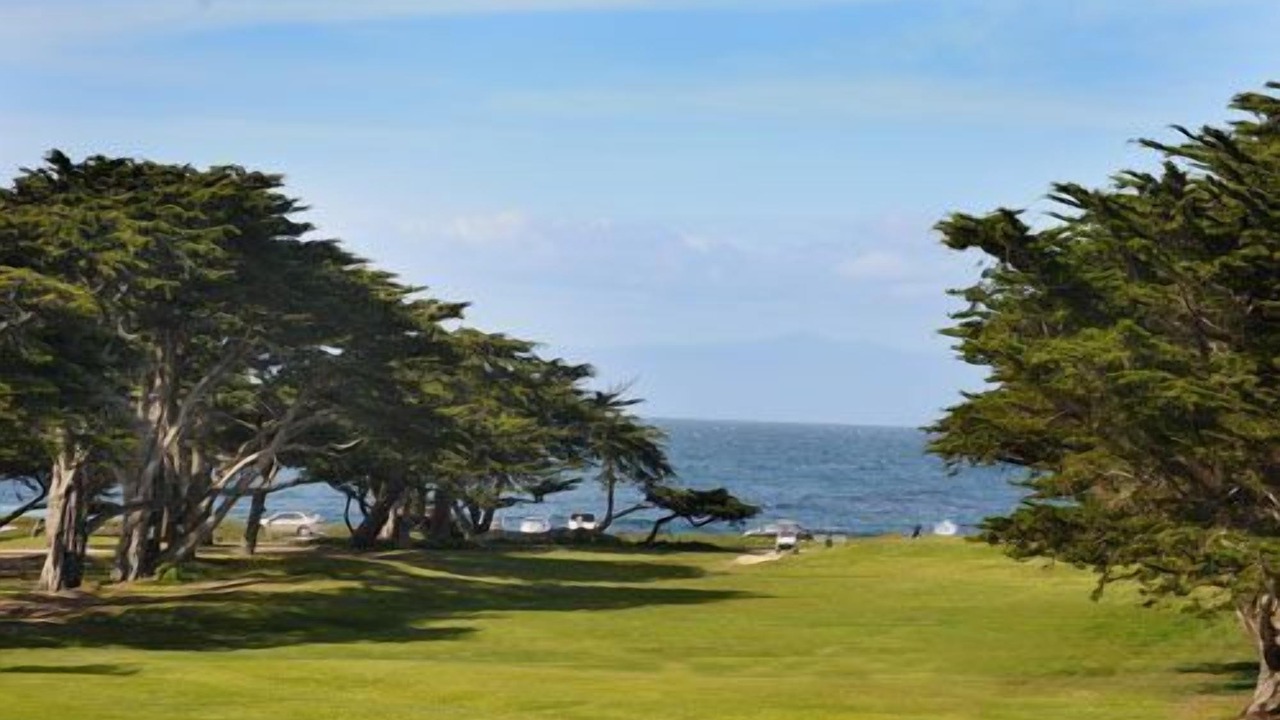 Photo of Others in Pacific Grove