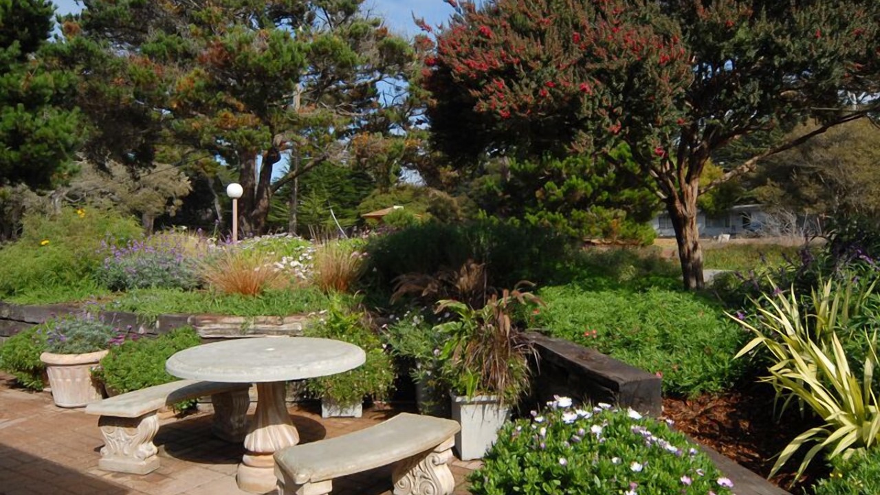 Photo of Outdoor in Pacific Grove