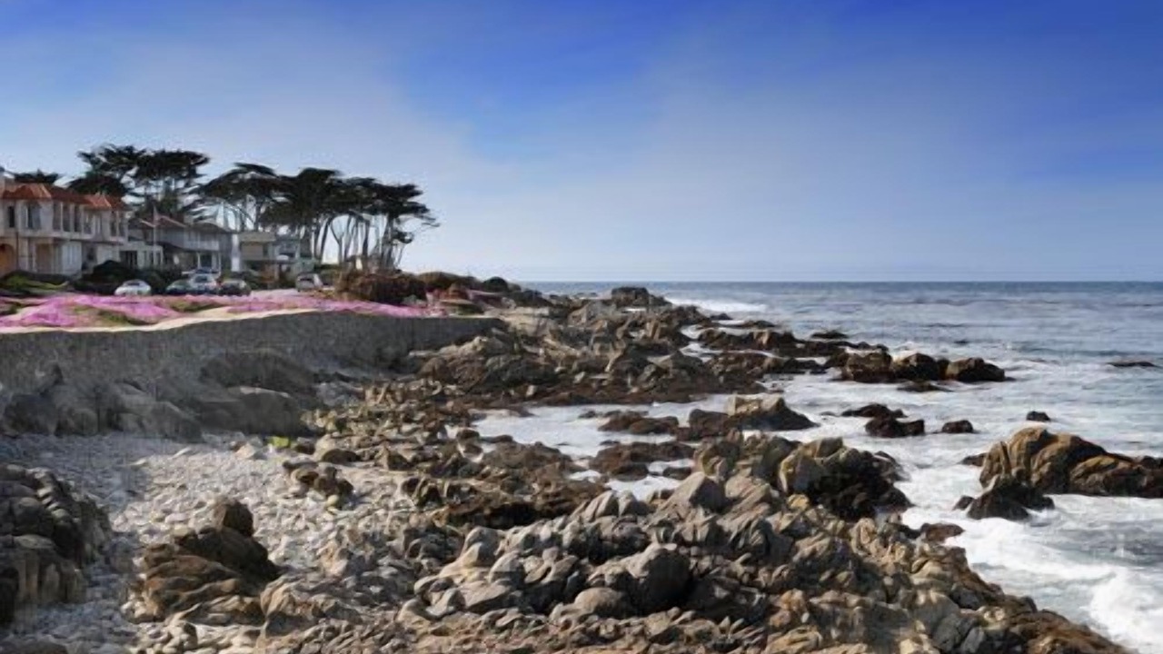 Photo of Others in Pacific Grove