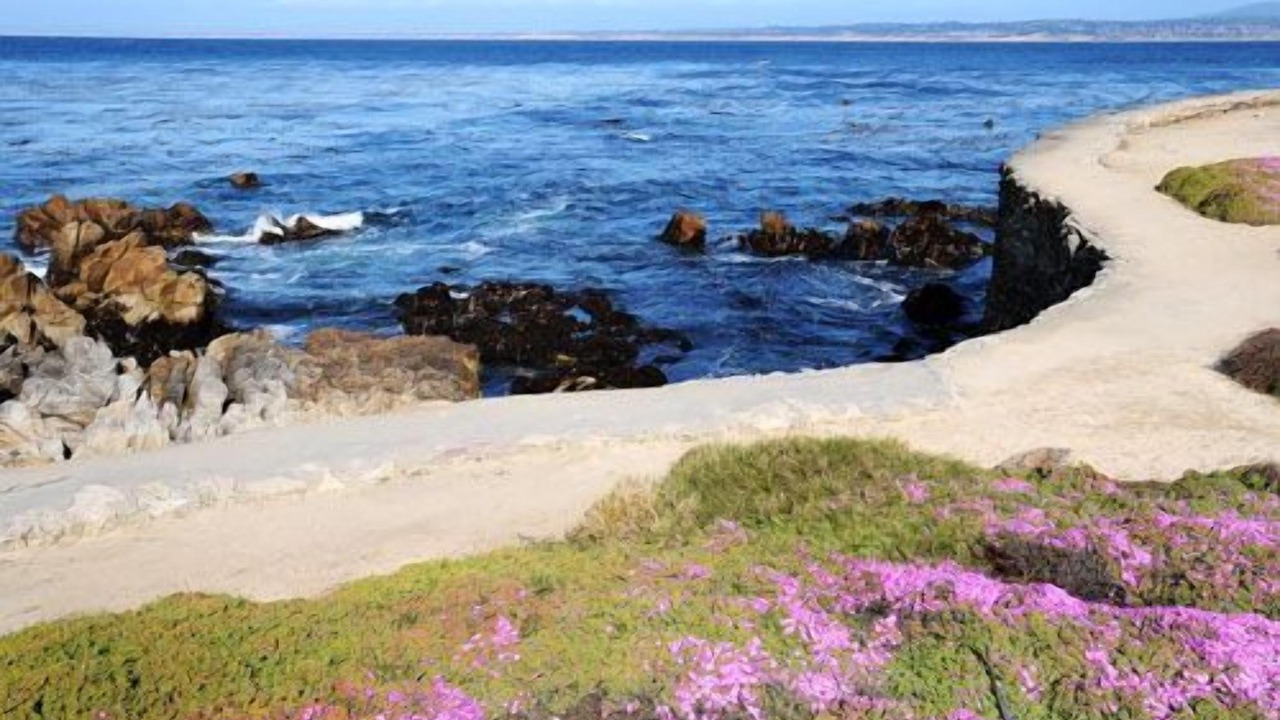 Photo of Others in Pacific Grove