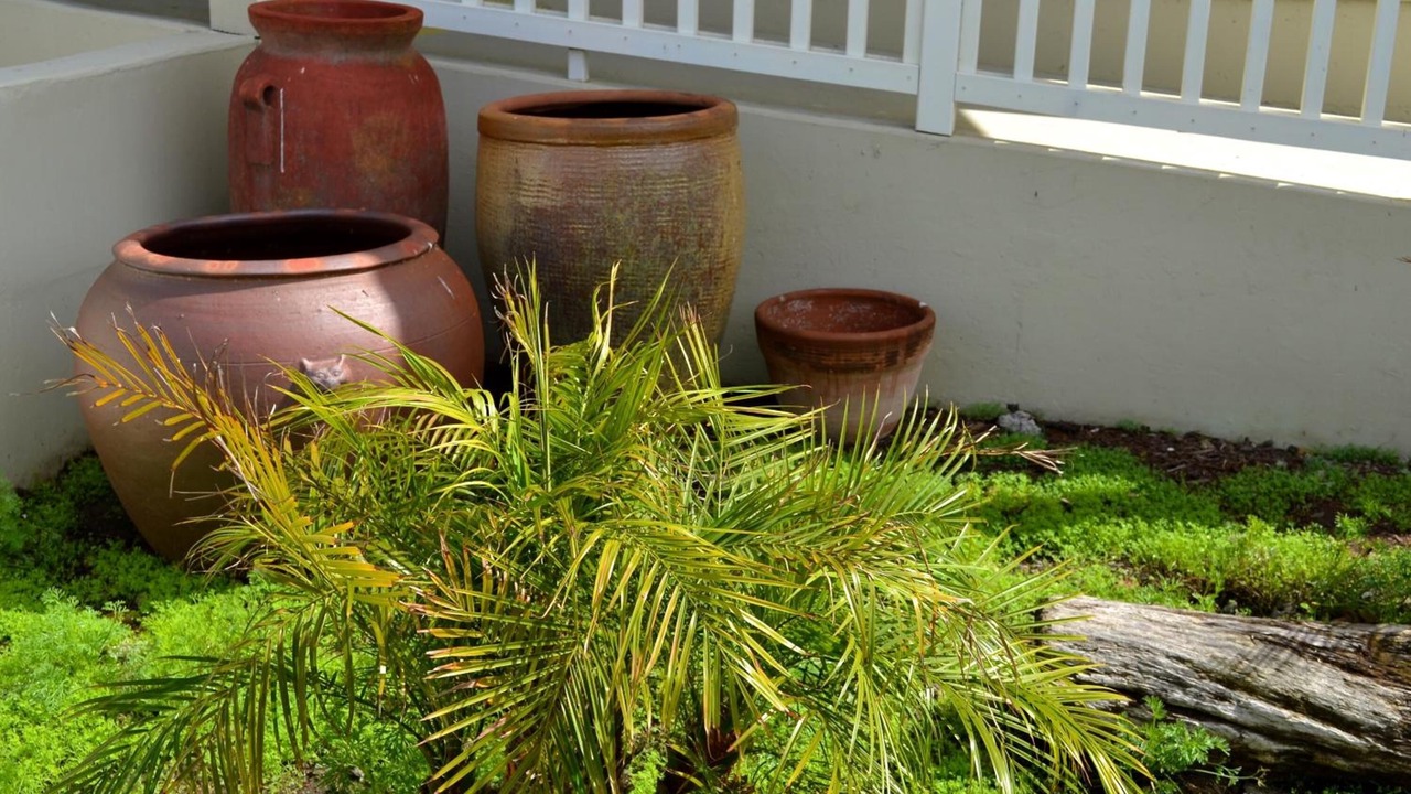 Photo of Outdoor in Cayucos