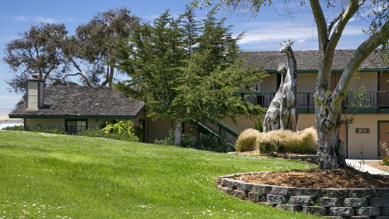Photo of Outdoor in Baywood-Los Osos