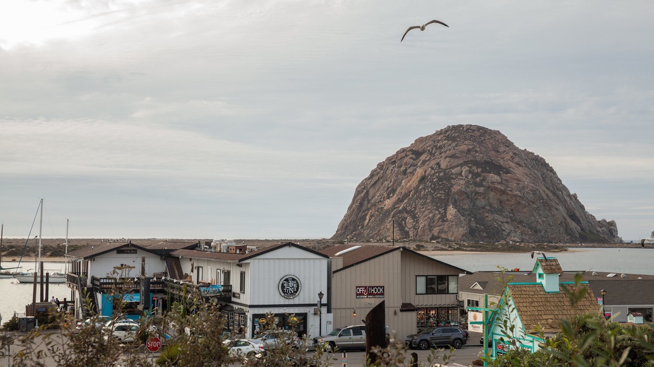 Photo of Others in Morro Bay