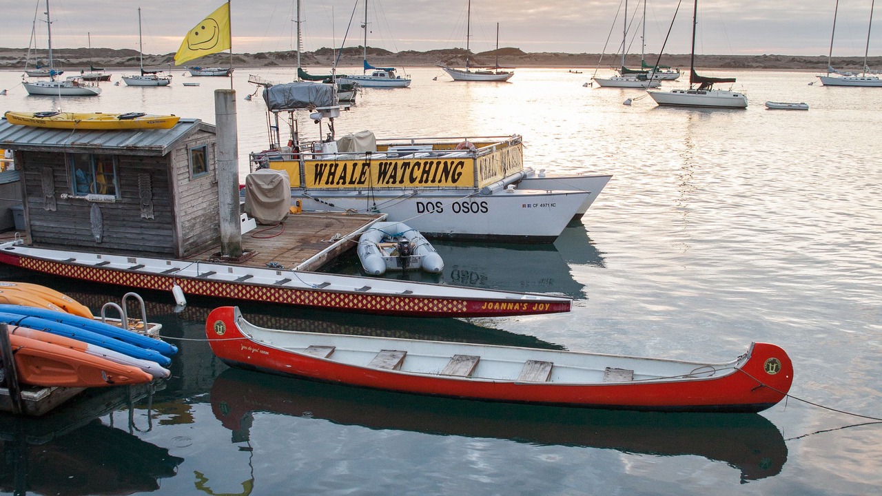 Photo of Others in Morro Bay