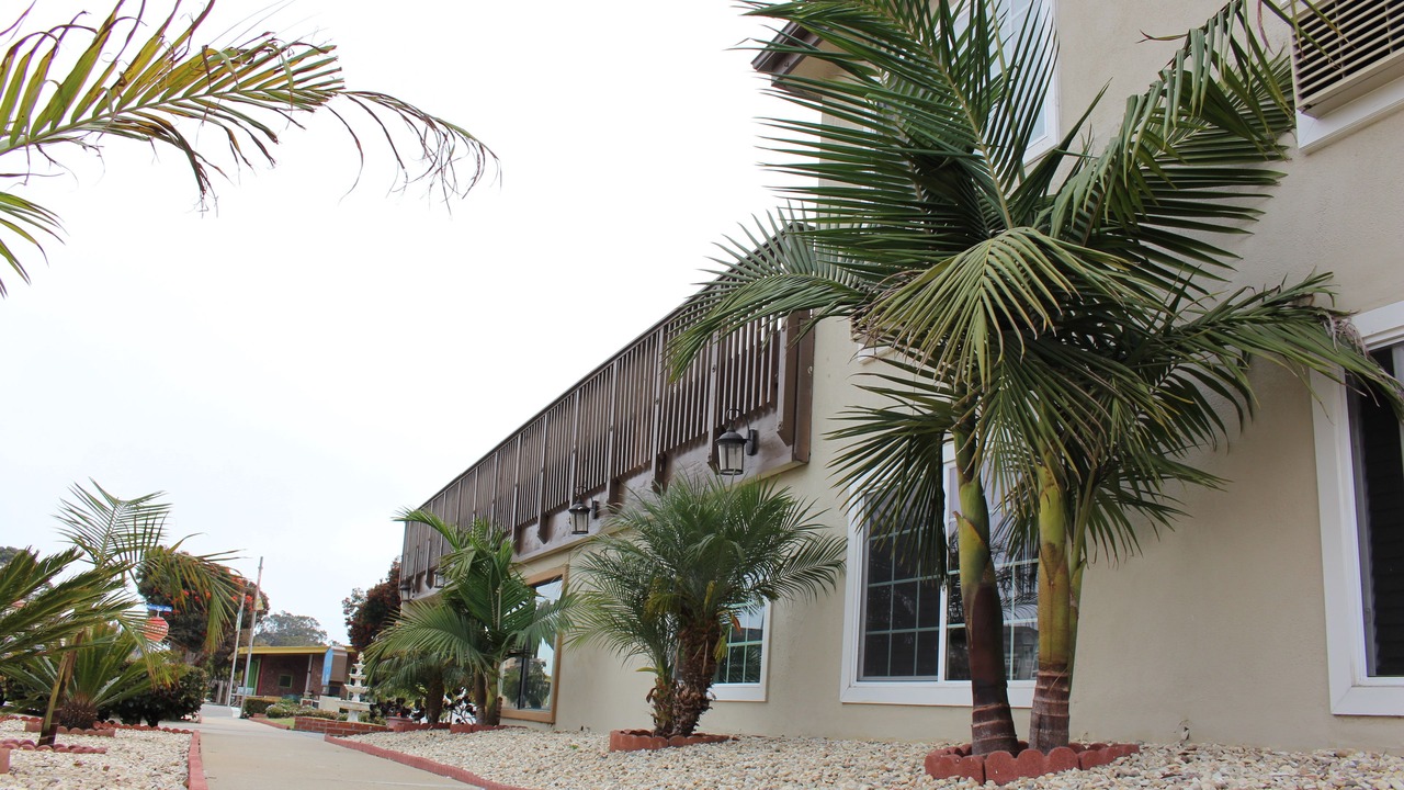 Photo of Outdoor in Morro Bay